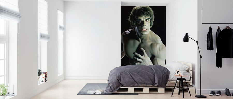 PHOTOWALL / Incredible Hulk the TV (e326094)