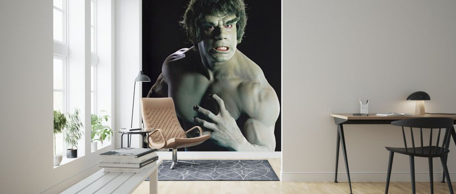 PHOTOWALL / Incredible Hulk the TV (e326094)