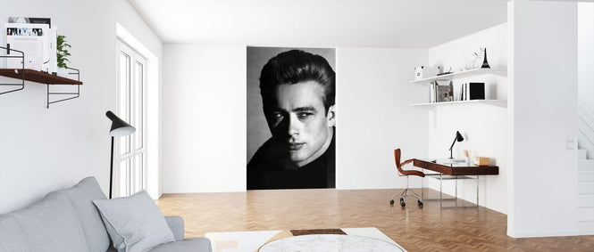 PHOTOWALL / James Dean (e326099)