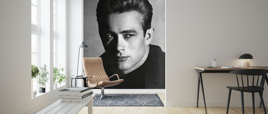 PHOTOWALL / James Dean (e326099)