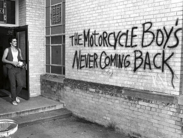 PHOTOWALL / Rumble Fish (e326108)