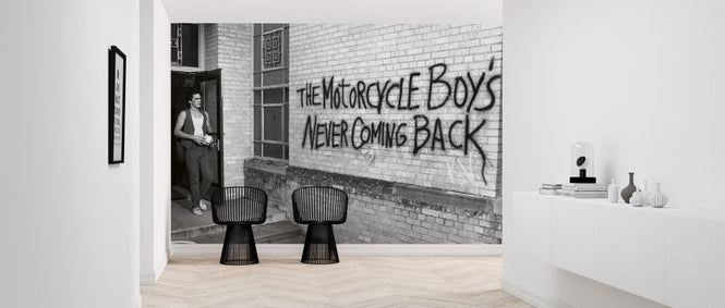 PHOTOWALL / Rumble Fish (e326108)