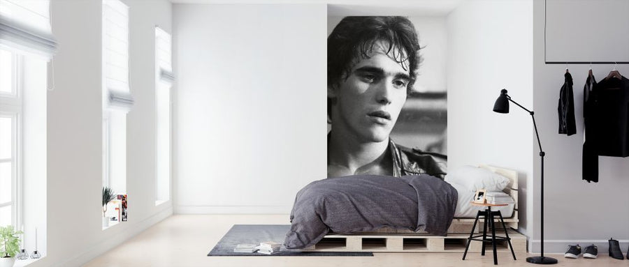 PHOTOWALL / Rumble Fish - Matt Dillon (e326121)