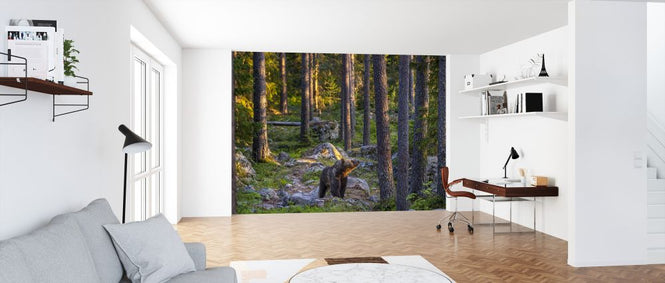 PHOTOWALL / Bear III (e324860)