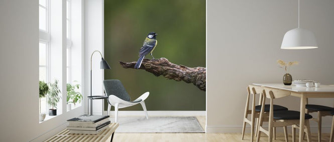 PHOTOWALL / Bullfinch II (e324868)
