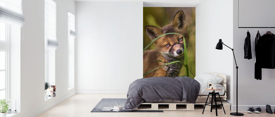 PHOTOWALL / Foxy II (e324872)