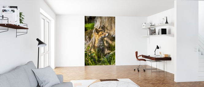 PHOTOWALL / Foxy IIII (e324874)