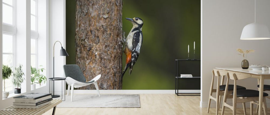 PHOTOWALL / Woodpecker (e324875)