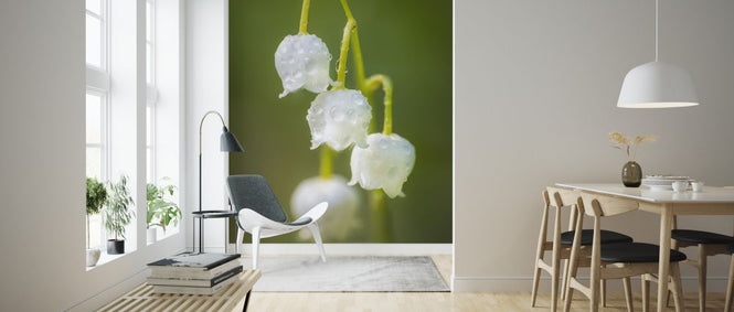 PHOTOWALL / Lily of the Valley (e324876)
