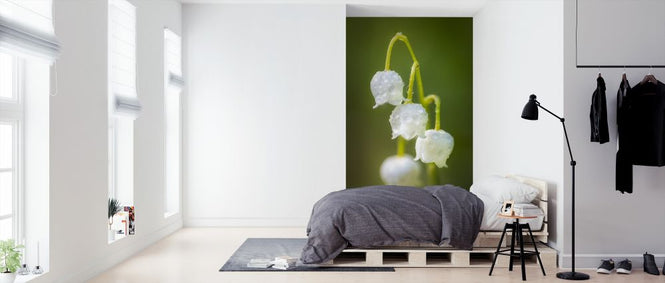 PHOTOWALL / Lily of the Valley (e324876)