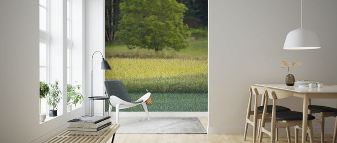 PHOTOWALL / Roebuck (e324879)