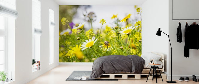 PHOTOWALL / Summer Flowers (e324886)