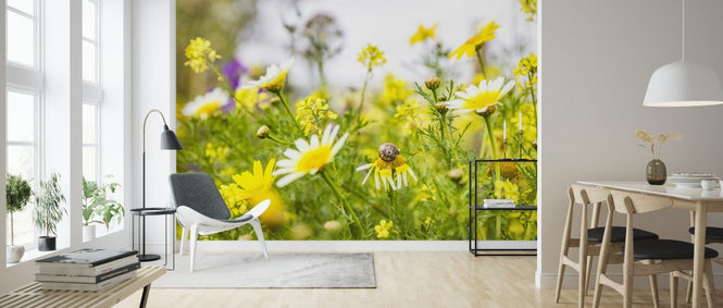 PHOTOWALL / Summer Flowers (e324886)