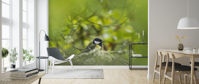PHOTOWALL / Great Tit (e324888)