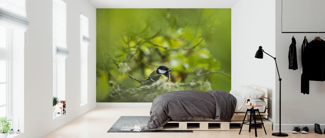 PHOTOWALL / Great Tit (e324888)