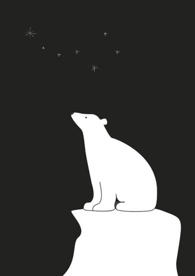 PHOTOWALL / Polar Bear - Black (e325969)