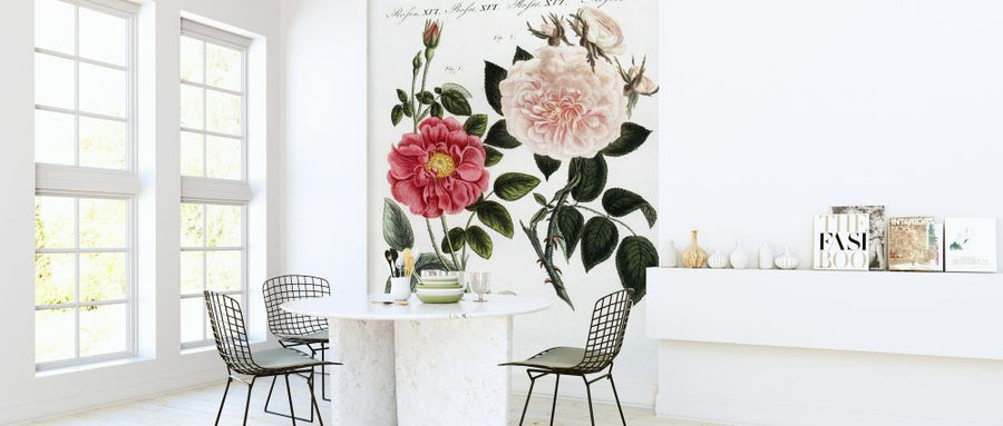 PHOTOWALL / French Rose - Infographics (e322367)