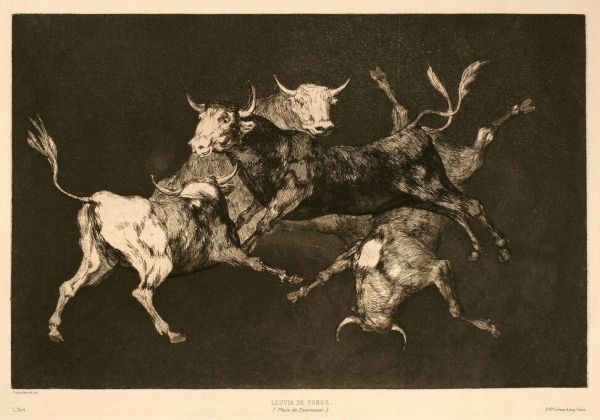 PHOTOWALL / Francisco De Goya Y Lucientes - Infographics (e322369)