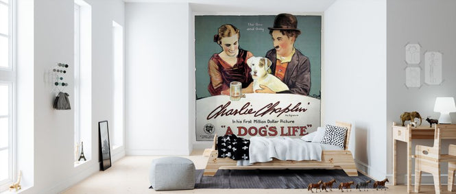 PHOTOWALL / Dogs Life - Infographics (e322374)