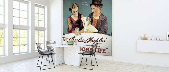 PHOTOWALL / Dogs Life - Infographics (e322374)