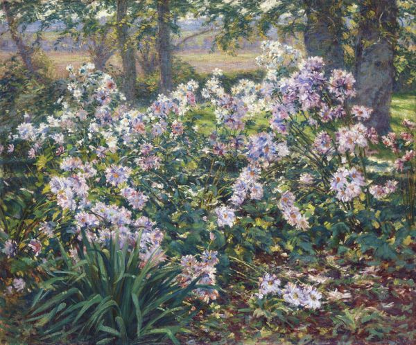 PHOTOWALL / Windflowers - Ruger Donoho (e325864)