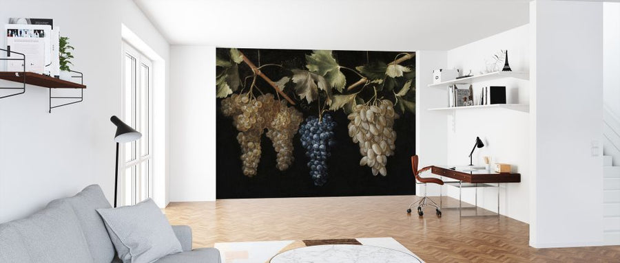 PHOTOWALL / Four Bunches of Hanging Grapes - Juan Fernandez (e325869)