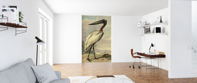 PHOTOWALL / Jabiroe - Aert Schouman (e325884)