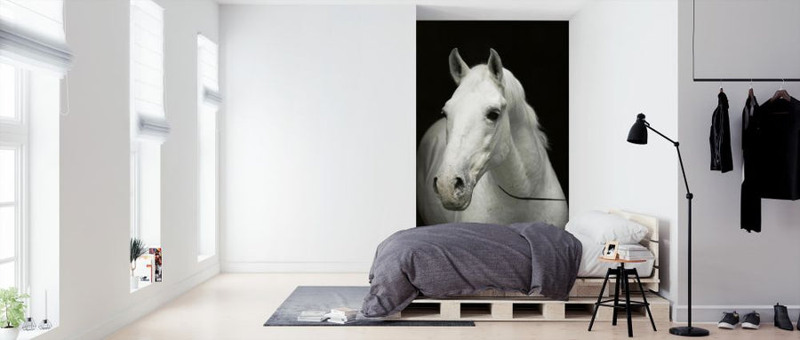 PHOTOWALL / White Stallion - Erich Lessing (e325898)
