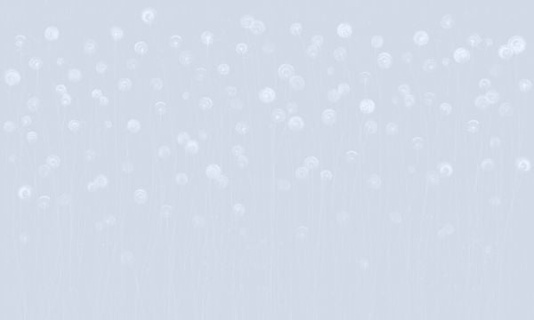 PHOTOWALL / Dandelion Field - Soft Blue (e326666)
