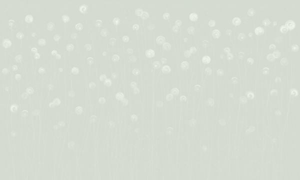 PHOTOWALL / Dandelion Field - Soft Mint (e326667)