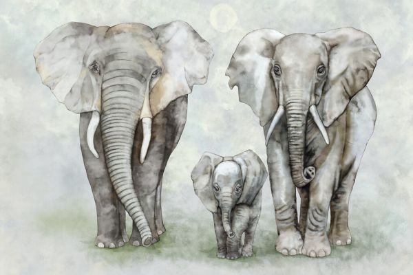 PHOTOWALL / Elephant Family (e326485)