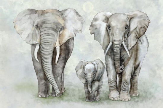 PHOTOWALL / Elephant Family (e326485)