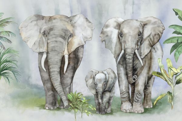 PHOTOWALL / Elephant Family II (e326486)