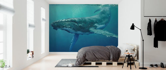 PHOTOWALL / Whale (e326500)
