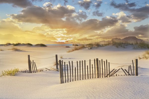 PHOTOWALL / Morning Blush (e326959)