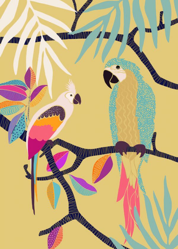 PHOTOWALL / Parrots (e325576)