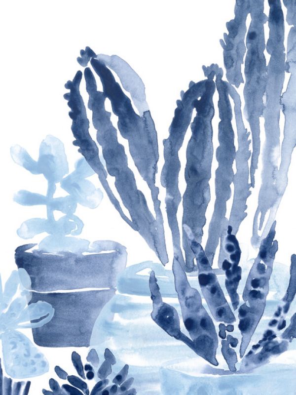 PHOTOWALL / Indigo Succulent (e324895)