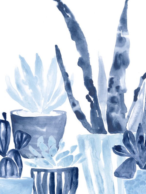 PHOTOWALL / Indigo Succulent III (e324897)