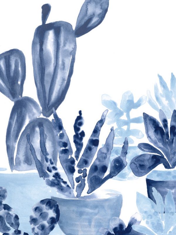 PHOTOWALL / Indigo Succulent IV (e324898)