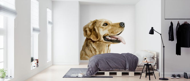 PHOTOWALL / Pet Profile (e324899)
