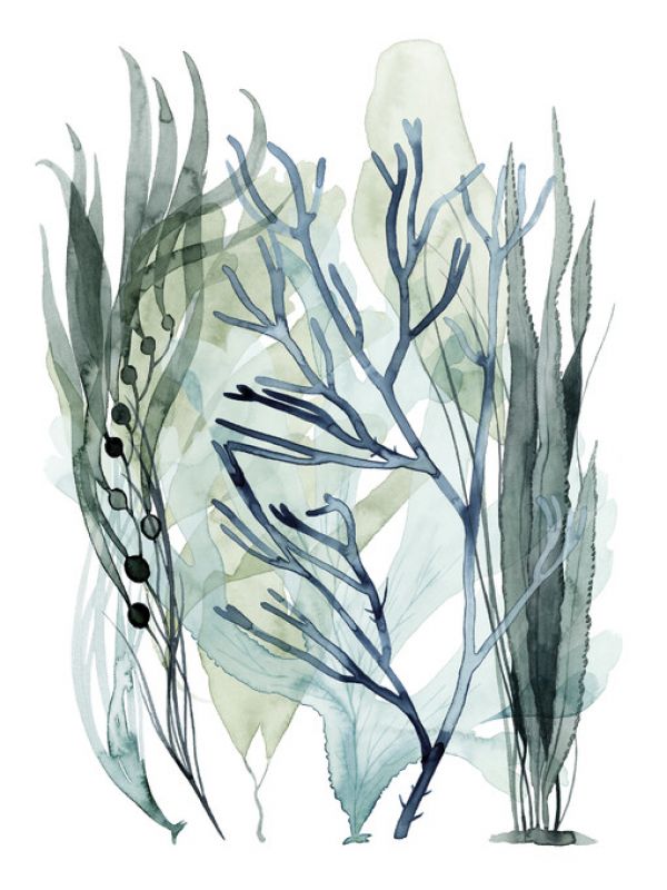 PHOTOWALL / Sea Leaves (e324926)
