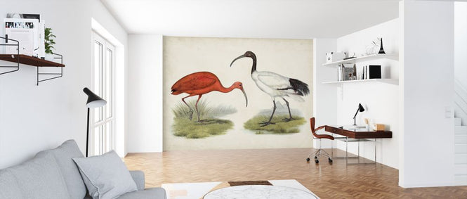 PHOTOWALL / Antique Waterbirds (e324941)