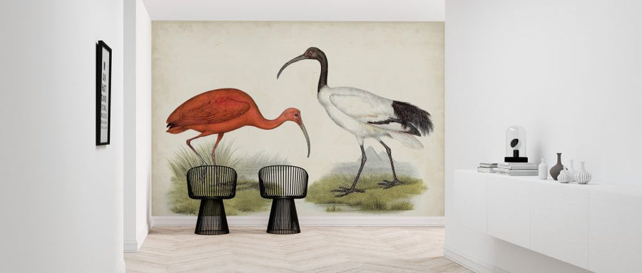 PHOTOWALL / Antique Waterbirds (e324941)