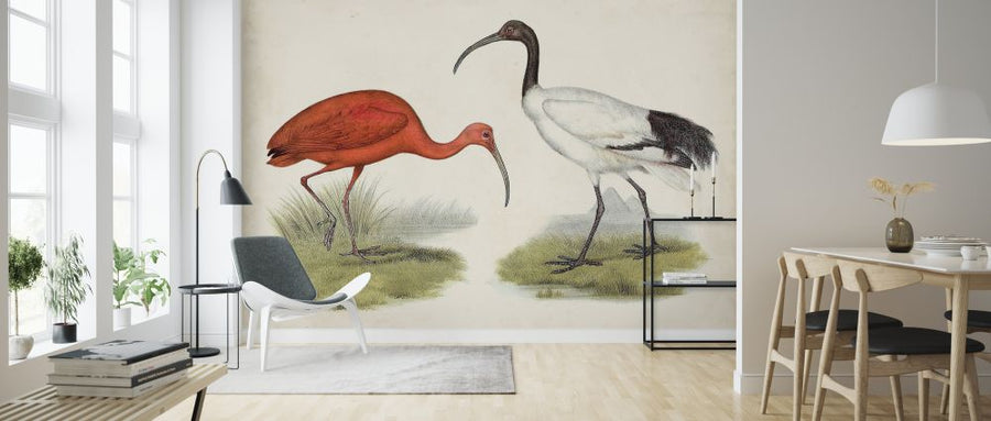 PHOTOWALL / Antique Waterbirds (e324941)