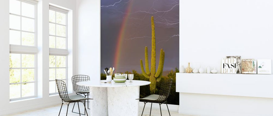 PHOTOWALL / Rainbow and Lightning over Cactus (e324534)