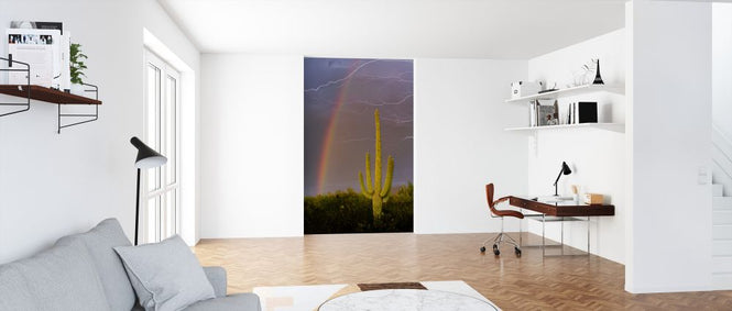 PHOTOWALL / Rainbow and Lightning over Cactus (e324534)