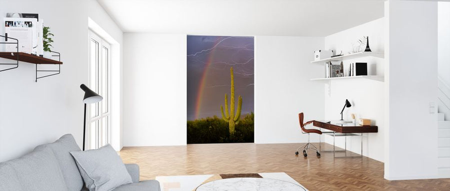 PHOTOWALL / Rainbow and Lightning over Cactus (e324534)