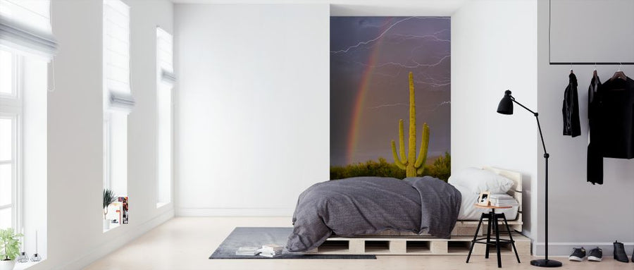 PHOTOWALL / Rainbow and Lightning over Cactus (e324534)