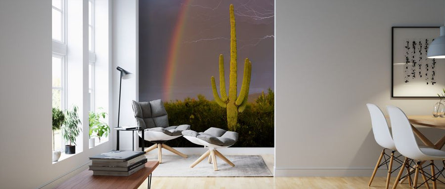 PHOTOWALL / Rainbow and Lightning over Cactus (e324534)