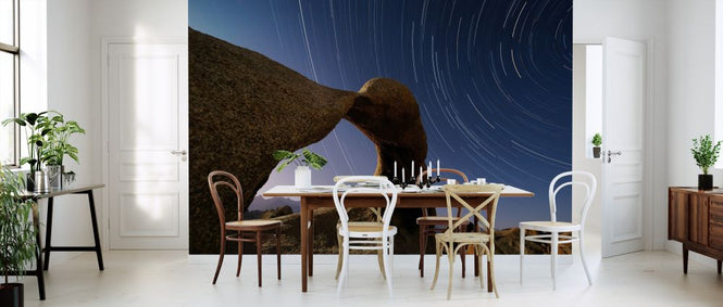 PHOTOWALL / Star Trails in Sky (e324535)